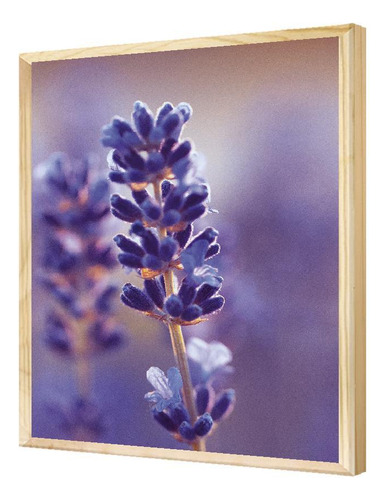 Quadro Floral Roxo 50x70 Pinus Decoração