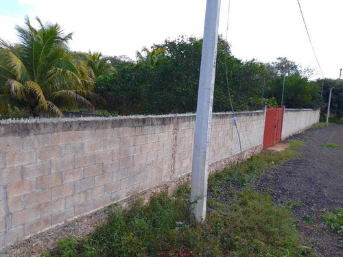 Venta Amplio Terreno De 6000 M2 Tahdzibichen, Merida, Yucatan.