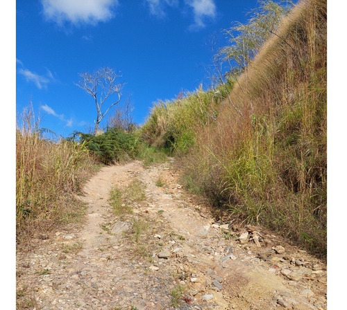 Imagen 18 de 21 de Best House Vende Terreno En El Jarillo Cerca De Quebrada Honda