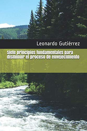 Siete Principios Fundamentales Para Disminuir El Proceso De