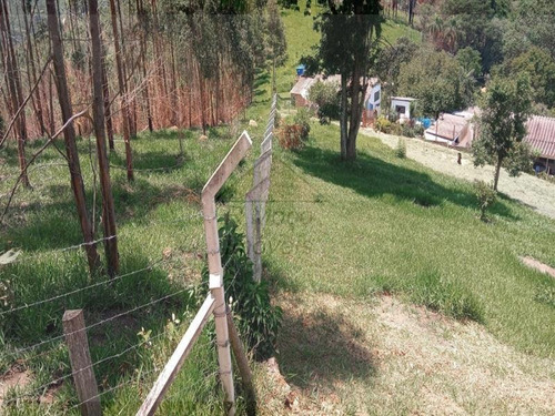 Imagem 12 de 16 de Área Jundiaizinho (terra Preta) Mairiporã/sp - 1309