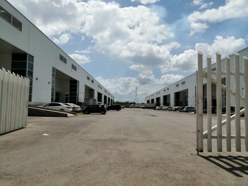 Imagen 7 de 14 de 4,550 M2 Merida Periferico Pte Complejo Industrial Mbp Bode