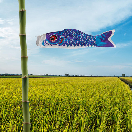 Bandera Decorativos Para Barco Accesorios 150cm Azul