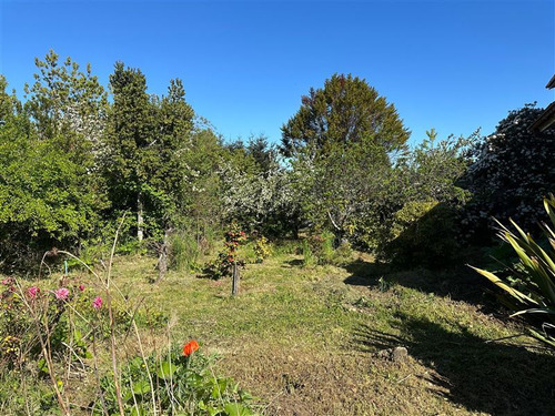 Local Comercial En Arriendo En Puerto Varas