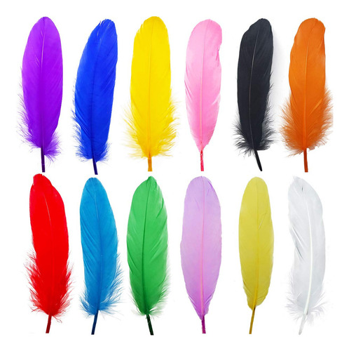 120 Plumas De Ganso De 6 A 8 Pulgadas, 12 Coloridas Para Man