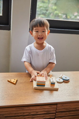 Juego Tablero Clasificación Geométrica De Madera Plan Toys