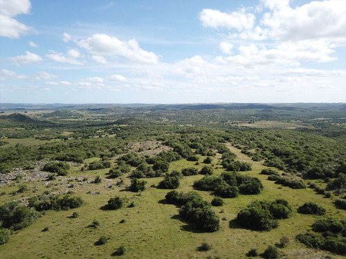Venta Campo 1.075 Hectareas Sierras De Lavalleja