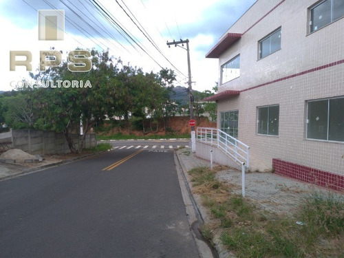 Imagem 4 de 11 de Terreno Bem Localizado E Ótima Topografia - Te00403 - 33353642