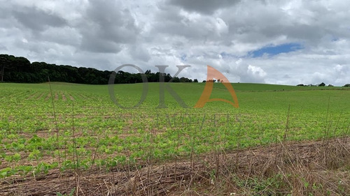 Área Para Loteamento Industrial Na Fazenda Rio Grande Permuta Por Fazenda De Soja Até 150 Km De Ctba - Ter004 - 68658327
