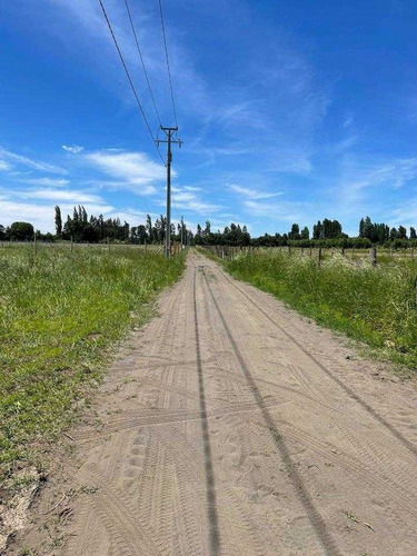 Imagen 13 de 16 de Se Venden Parcelas De 5000 M2 Sector Copahue, Los Angeles