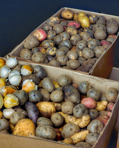 Papas Nativas Chiloé ( 1 Kg ) - El Huerto De Chiloé