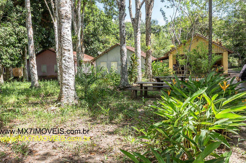 Imagem 14 de 15 de Fazenda Para Venda Em Maraú, Zona Rural - 650_1-1401674