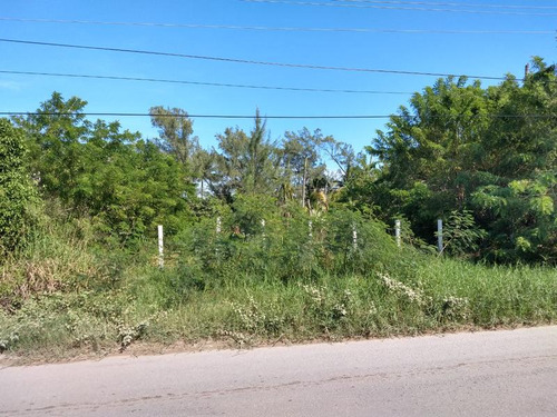 Venta Terreno 520 M² Carretera Termoelectrica Playa Tuxpan Veracruz
