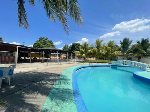 227360 Am* Venta De Terreno En Guacara