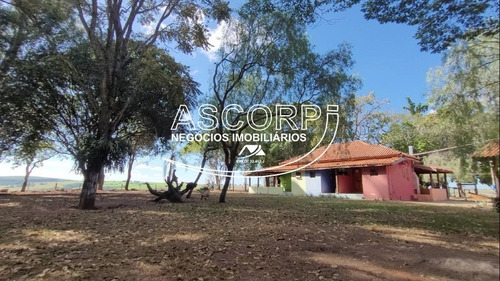 Imagem 6 de 19 de Sítio/pousada Em Anhembi - Piracicaba Sp(código St00003) - St00003 - 71022310