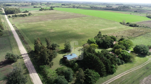 Chacra Orgánica Con Casas - 6,5 Ha En Colonia Este