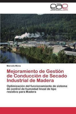 Libro Mejoramiento De Gestion De Conduccion De Secado Ind...