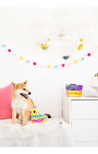 Piñata Para Perros Pearhead Puppy Piñata, Juguete Para Perro