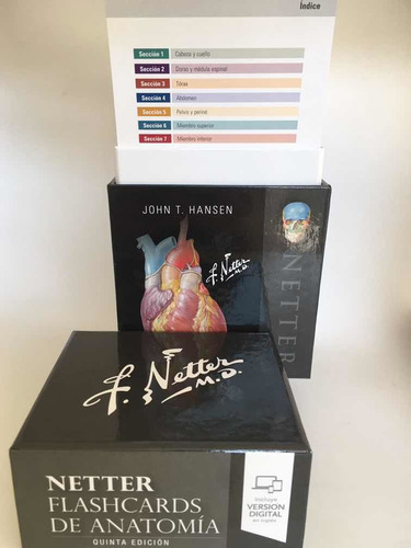 Netter Flash Card De Anatomia 5a Ed Originales Y Nuevas