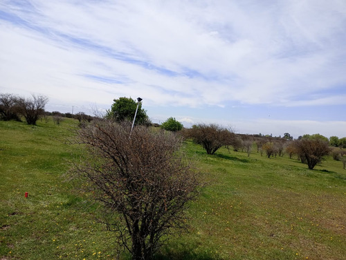 Parcela 8.000 M2 El Canelo , Comuna De Retiro - Region Maule