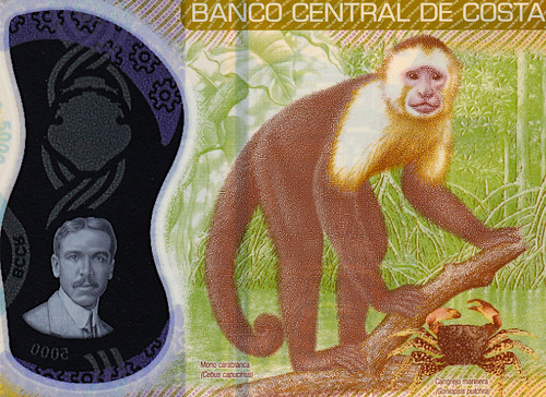 Billete De Costa Rica 5,000 Colones, Alfredo Glez. Mono 2012