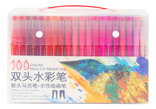 Cv Brush Pen Fineliner Dual Journaling Tip Brush Art 100