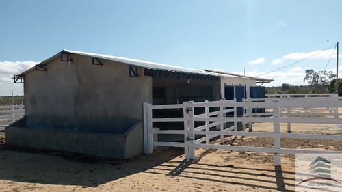 Imagem 18 de 18 de Granja A Venda Lagoa Nova