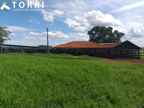Imagem 4 de 20 de Fazenda À Venda Em Alto Alegre - Fa00176 - 69382951