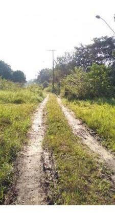 Imagem 2 de 4 de Chácara Litoral Sul Lado Serra 1000m²- Ref.4445/dz