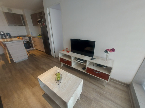 Departamento 1 Dormitorio, Amoblado, Concepción