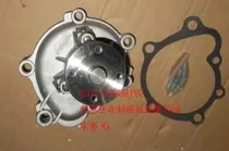 Comprar Bomba De Agua, De  Aceite Motor 4y 491q Greatwall Safe Deer 