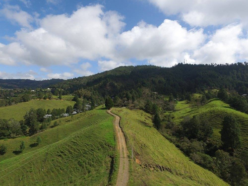 Lotes En Guarne, En Unidad Cerrada 