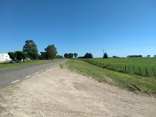 Terrenos En Venta - 4800mts2 - Rolon