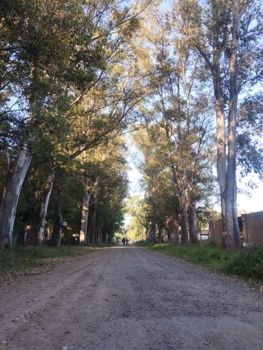 Quinta En Venta
