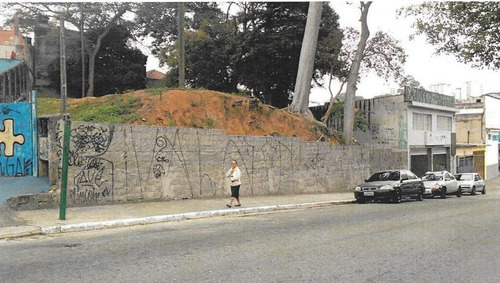 Imagem 1 de 4 de Terreno À Venda, 910 M² - Vila Ivone - São Paulo/sp - Te0342