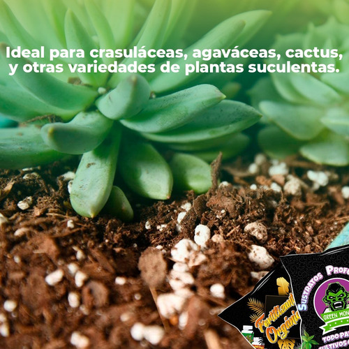 Sustrato Cactus Suculentas Con Fertilizante