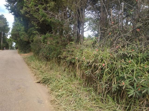 Imagem 10 de 10 de Cód 5735 - 1.374 M² De Frente Para O Asfalto Com Água Da Sab - 5735
