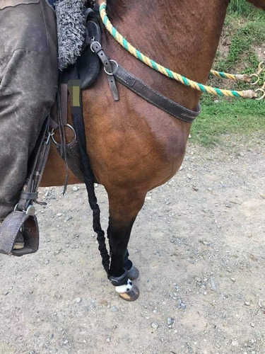 Liga De Entrenamiento Caballo Bailador Alta Escuela 2 Pzas