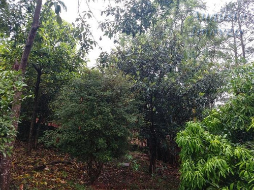 Imagem 5 de 29 de Chácaras À Venda Em Atibaia/sp - Compre O Seu Chácaras Aqui! - 1470765