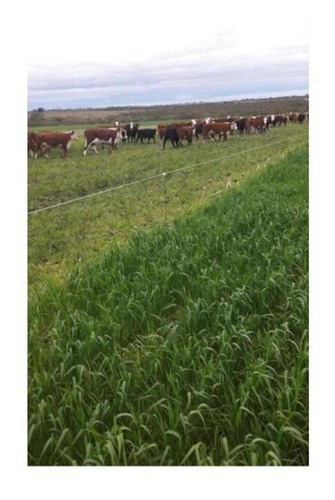 Imagen 1 de 14 de Campo En Venta En Nogoyá Entre Rios