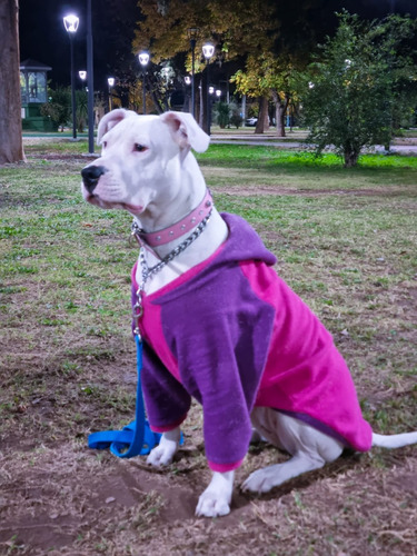 Imagen 2 de 10 de Buzo Polar Perros Grande Boxer Ovejero Pitbull Dogo Labrador