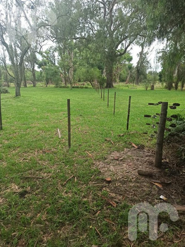 Imagen 9 de 12 de Venta Terreno - Abasto