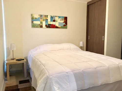 Arriendo Depto En Centro (minimo 10 Dias)