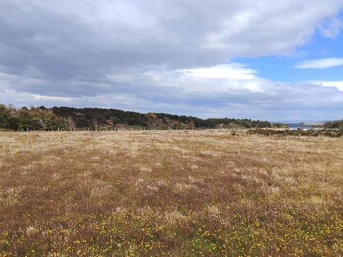 En Venta Parcela Con Casa En Punta Arenas, Sector Leñadura