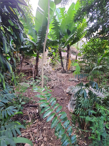 Imagem 7 de 15 de Terreno-são Paulo-campo Limpo | Ref.: Reo650663 - Reo650663