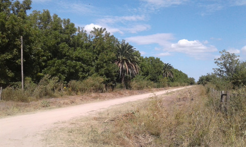 Venta, Hermosos Lotes Arbolados En Gualeguay.