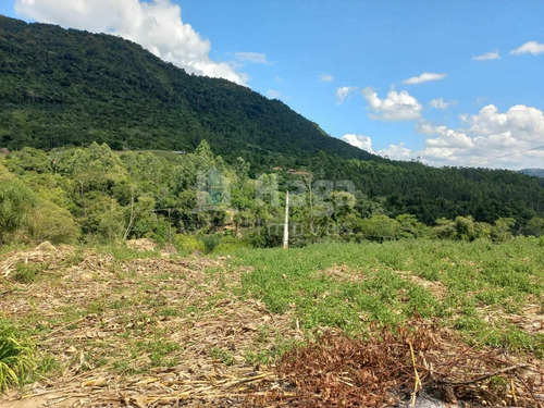 Imagem 4 de 23 de Chácara À Venda No Bairro Laeiz - José Boiteux/sc - 2333c