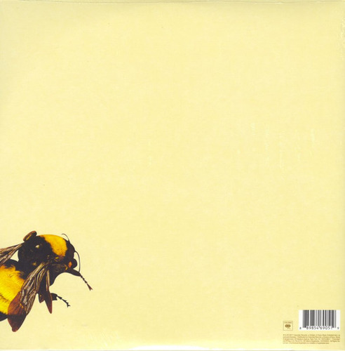 Vinil Tyler, The Creator - Flower Boy Standard