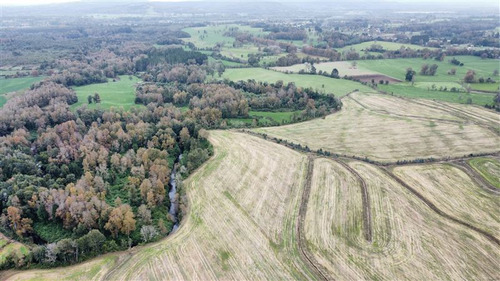 Agrícola En Venta En Los Lagos