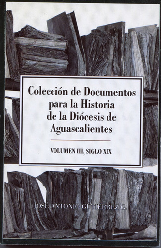 Coleccion De Documentos Para La Historia De La Diocesis De A
